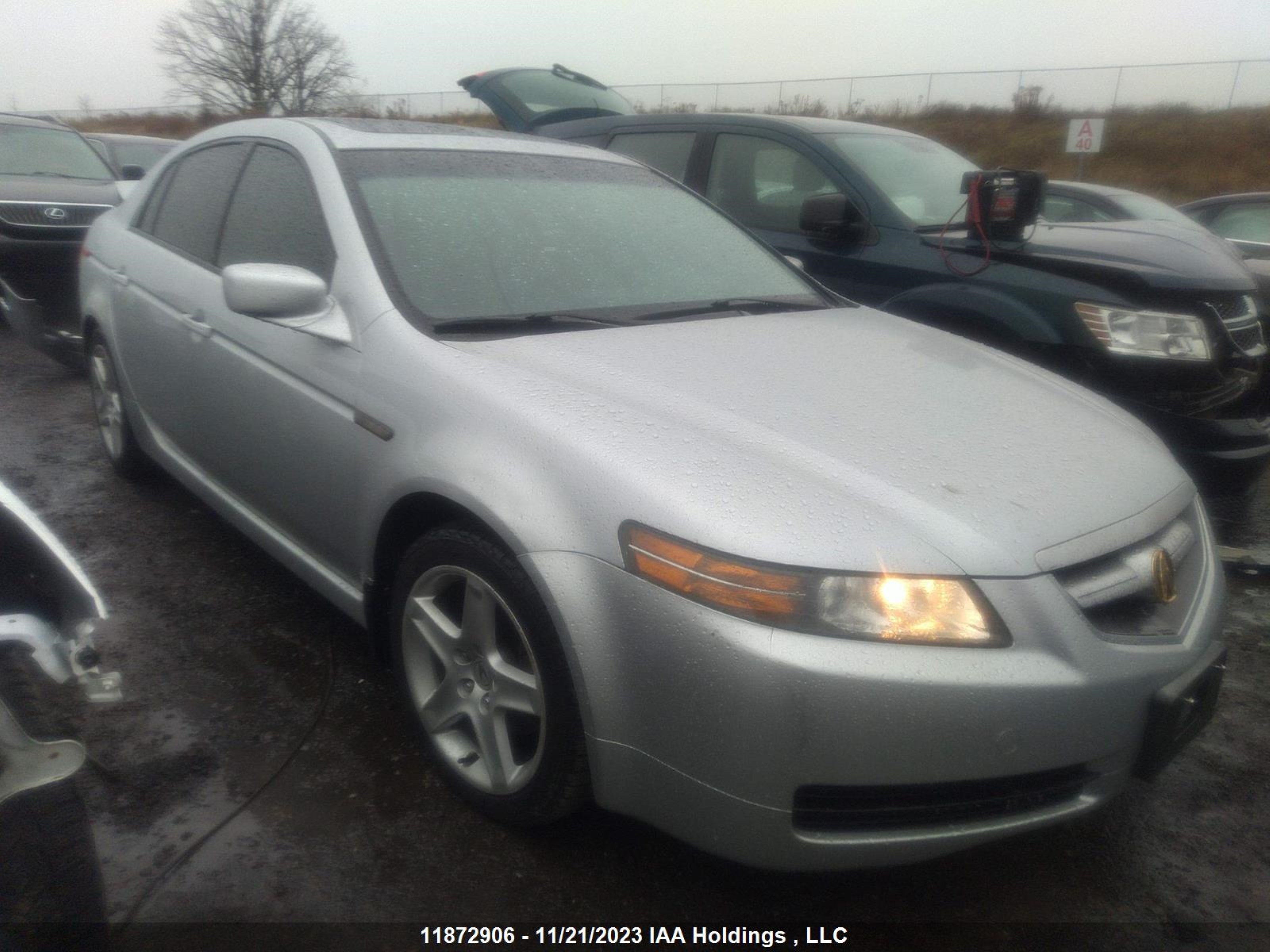 ACURA TL 2005 19uua66295a804021