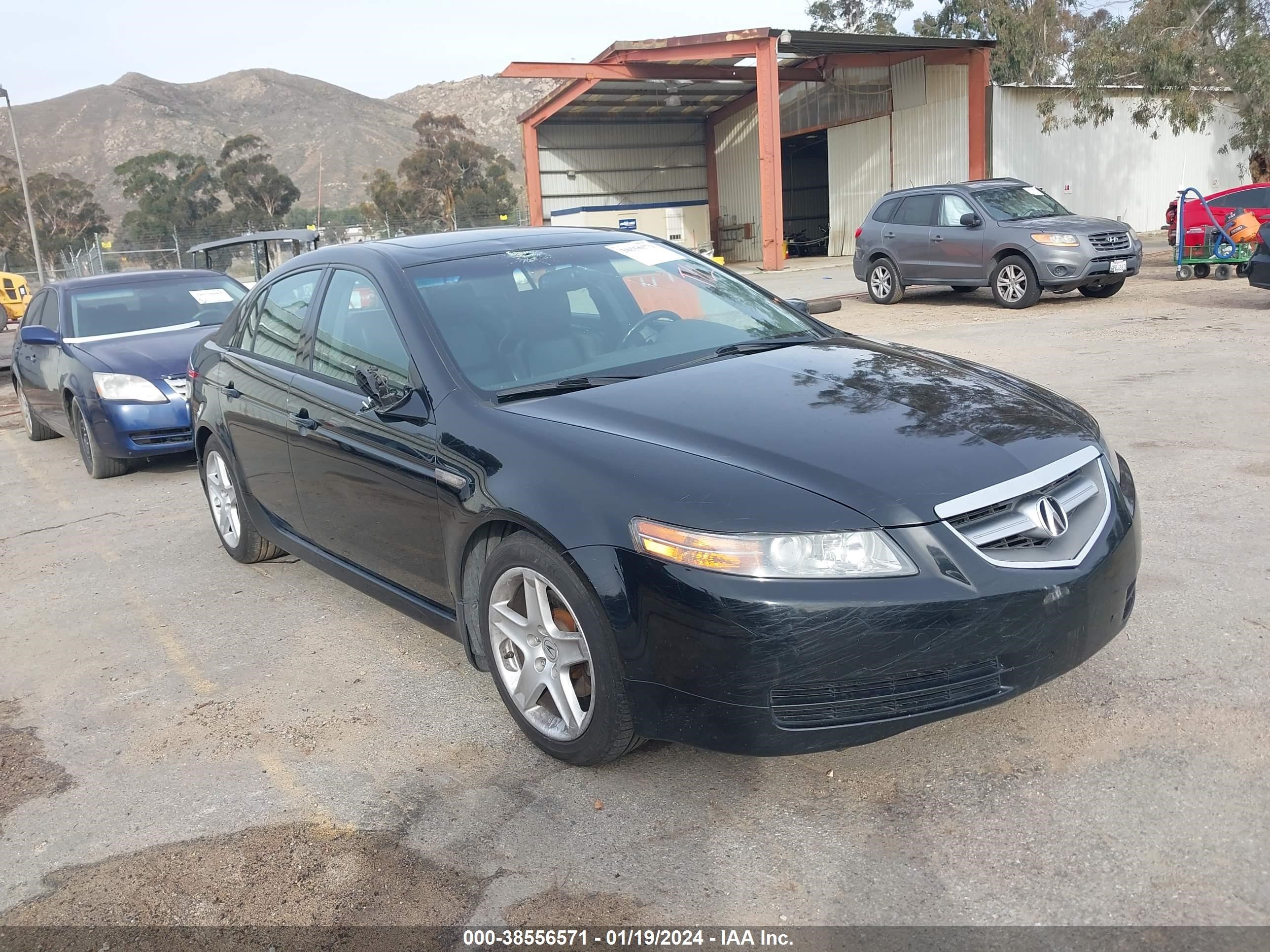 ACURA TL 2006 19uua66296a001629