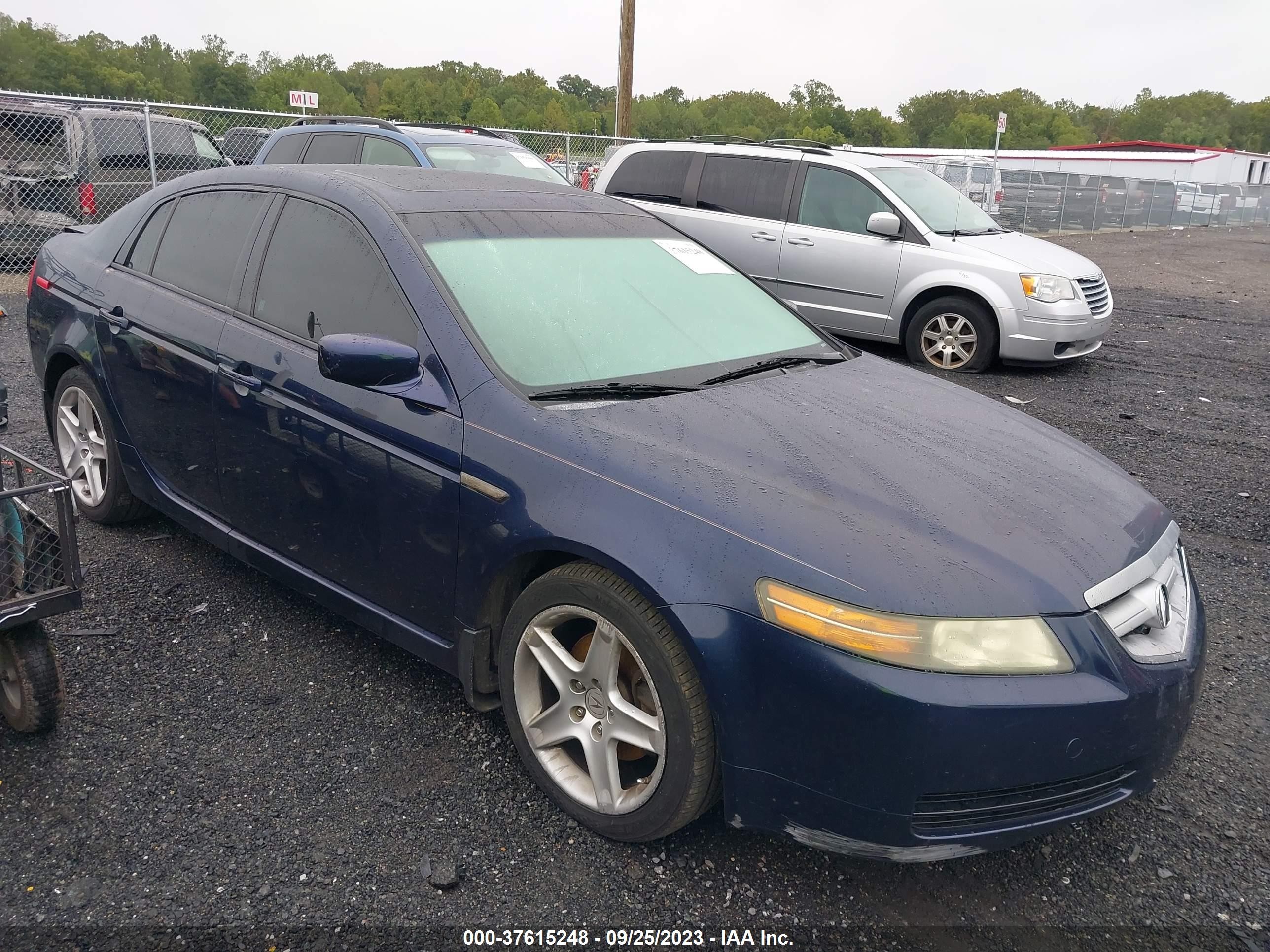 ACURA TL 2006 19uua66296a013330