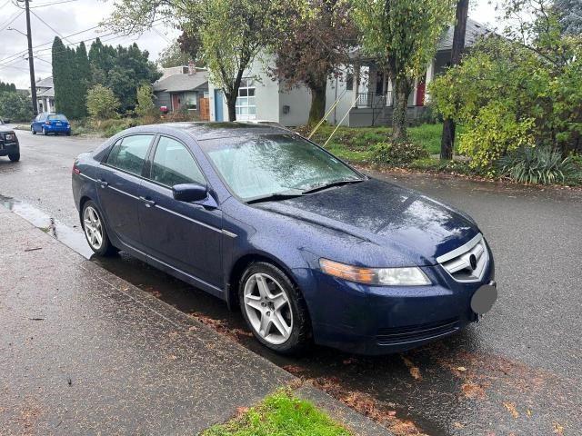 ACURA 3.2TL 2006 19uua66296a038941