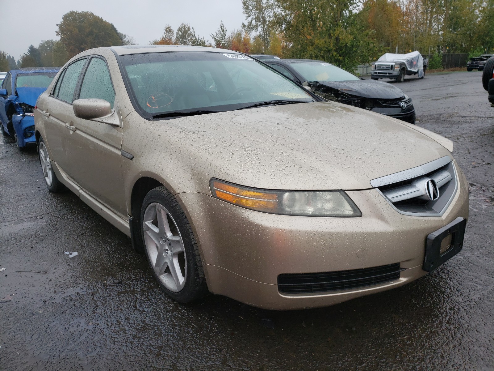 ACURA TL 2004 19uua662x4a003368