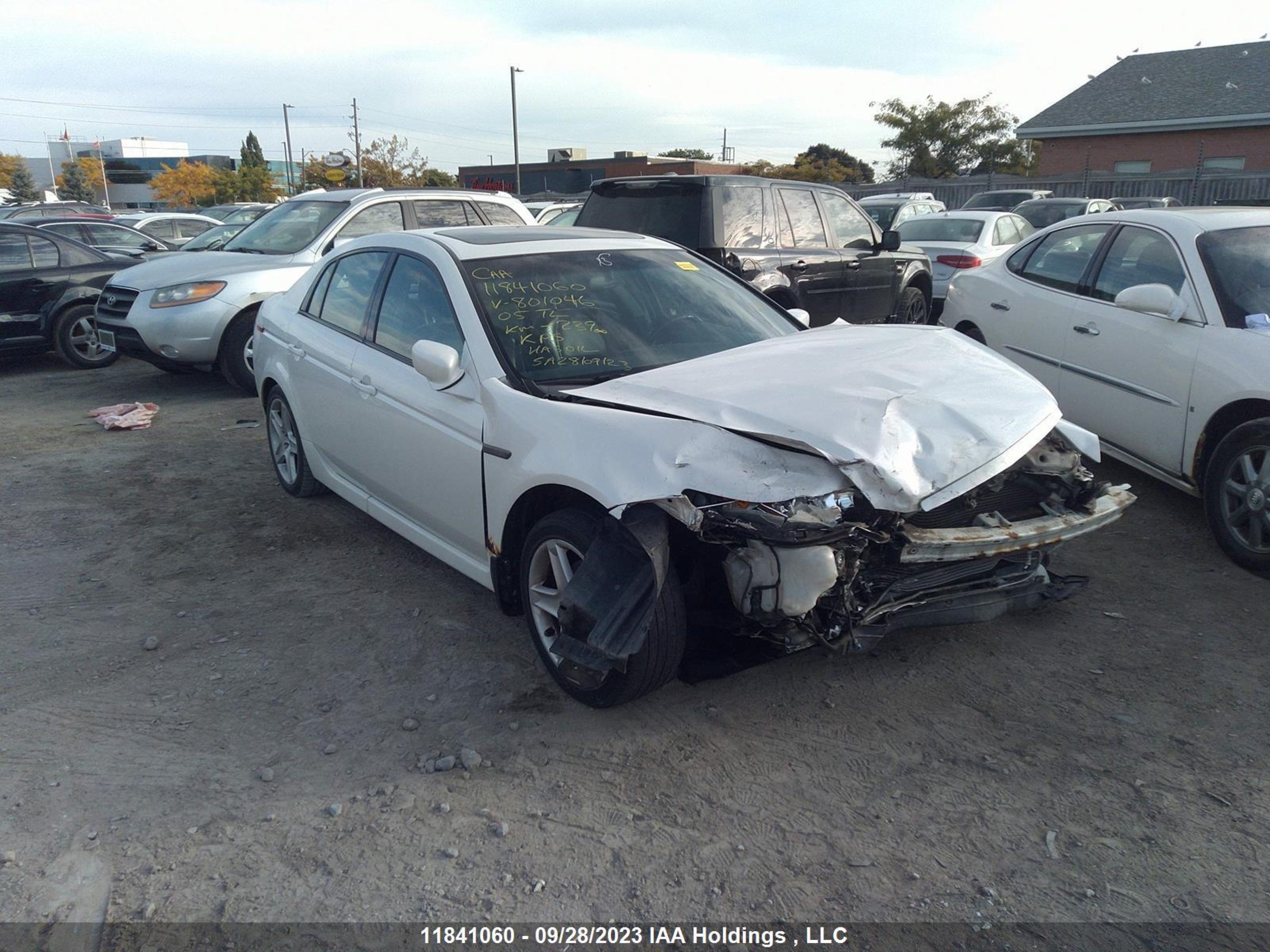 ACURA TL 2005 19uua662x5a801046