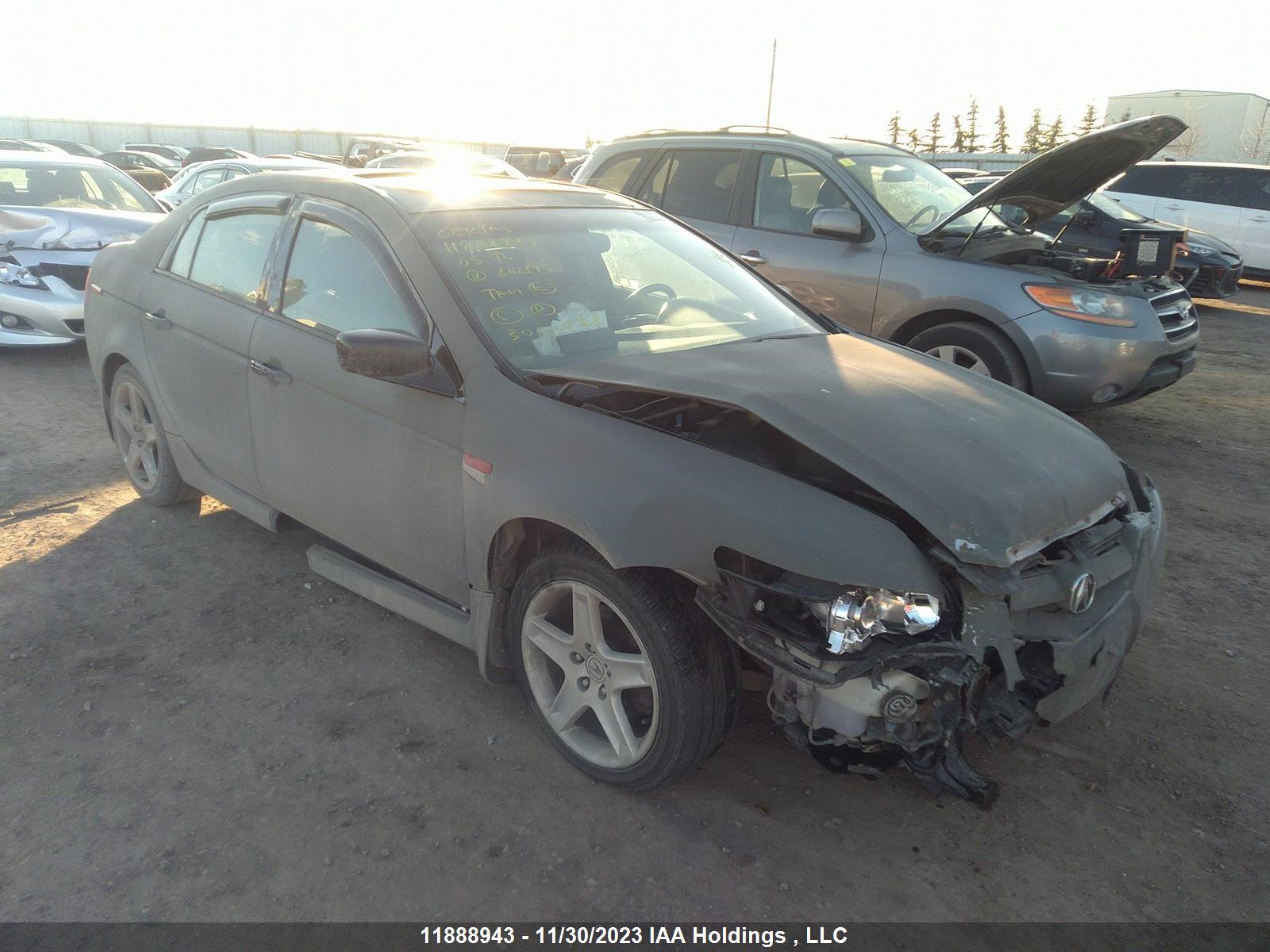 ACURA TL 2005 19uua662x5a802195