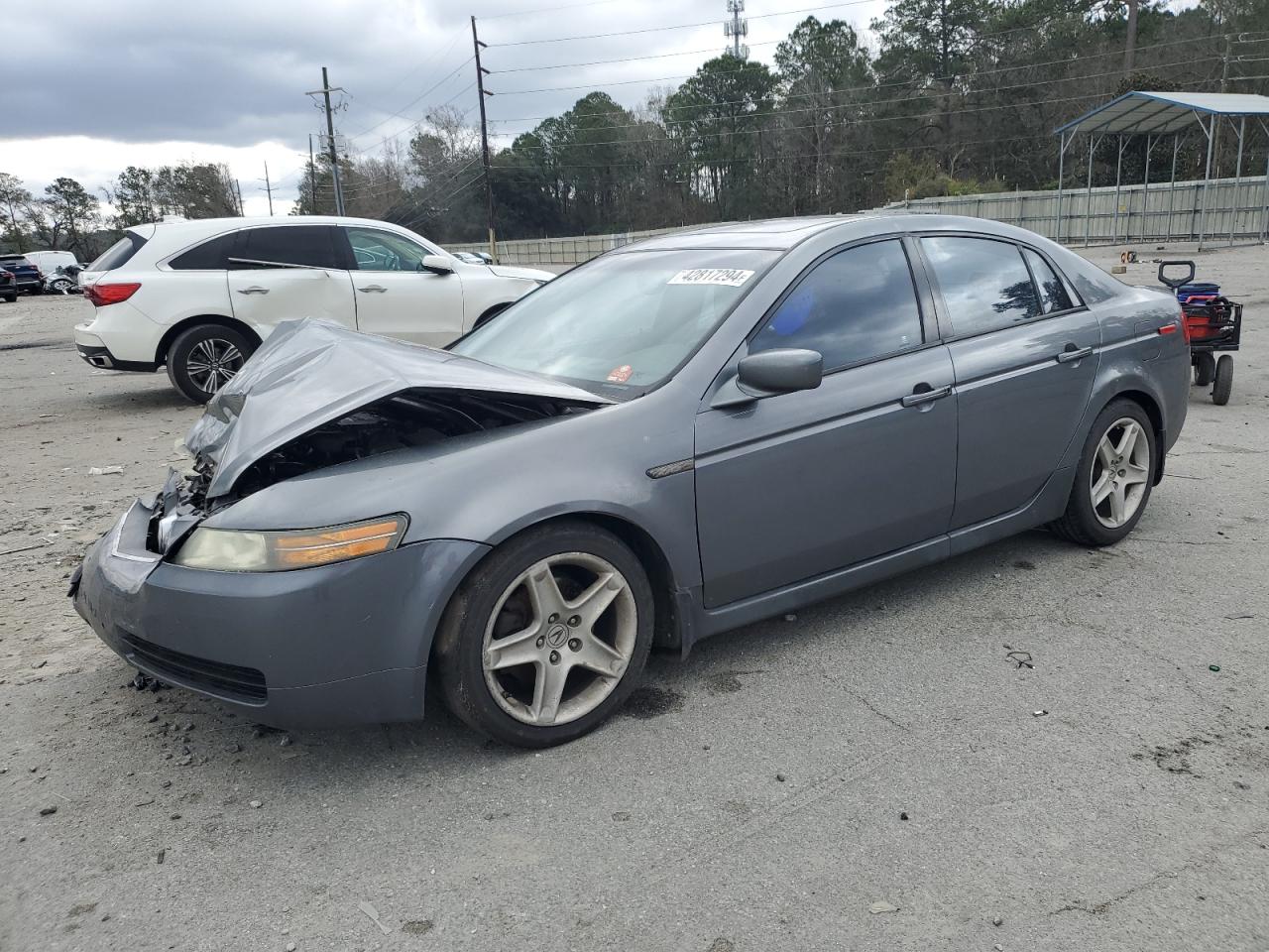 ACURA TL 2006 19uua662x6a003891