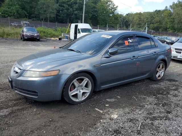 ACURA 3.2TL 2006 19uua662x6a015281