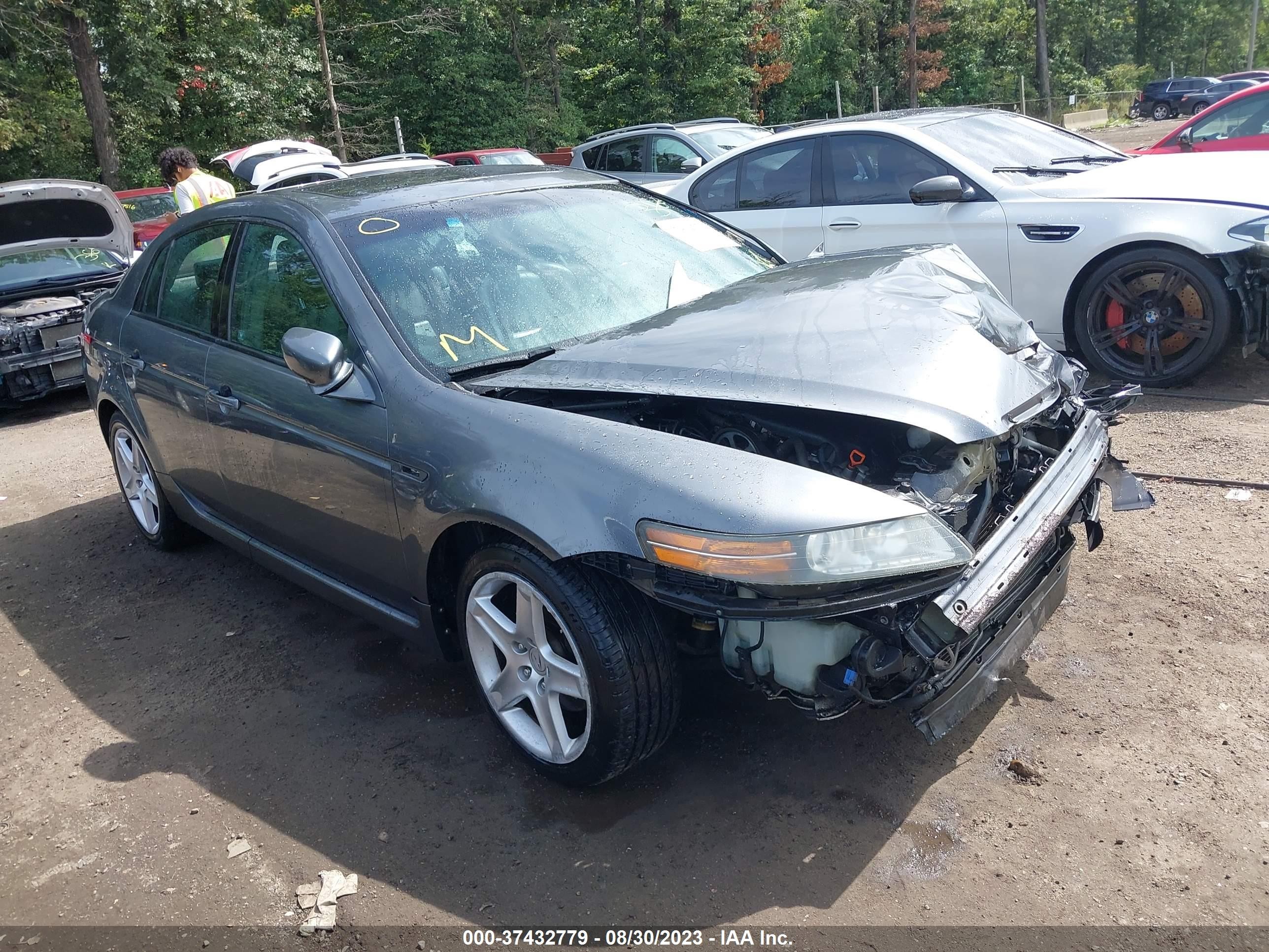 ACURA TL 2006 19uua662x6a015894