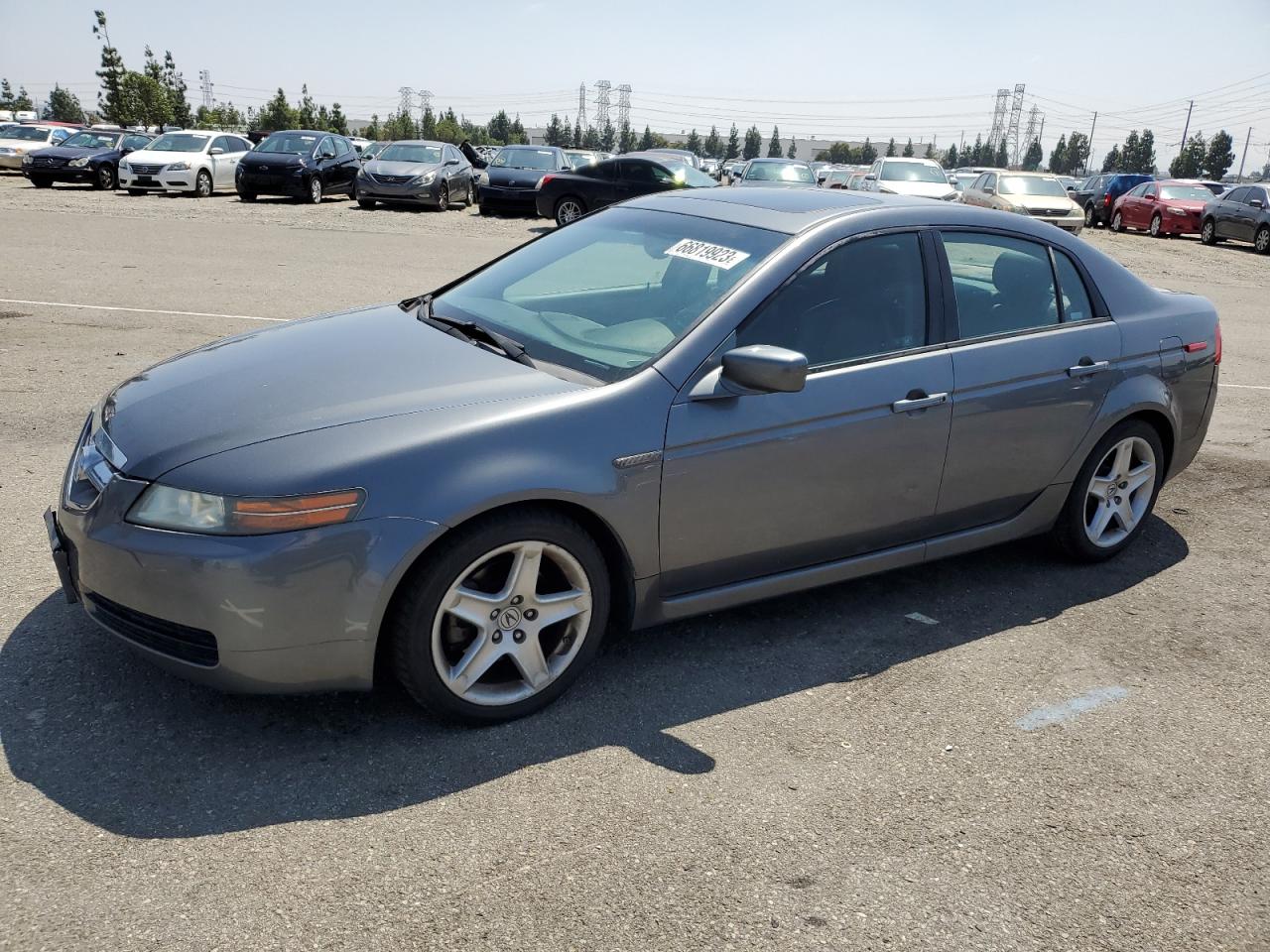 ACURA TL 2006 19uua662x6a017791