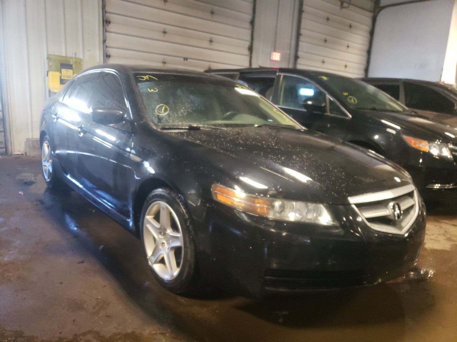 ACURA 3.2TL 2006 19uua662x6a046742