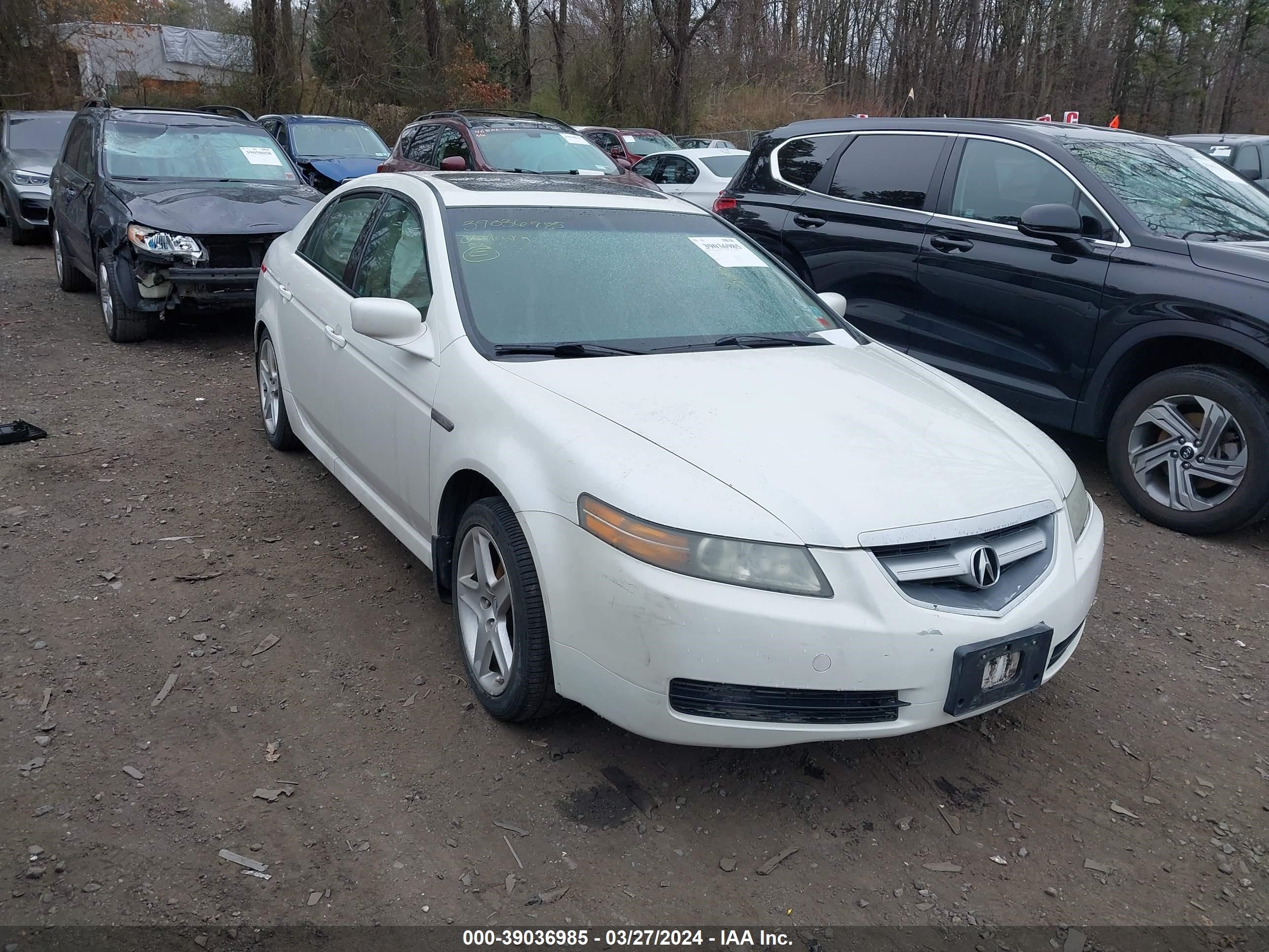 ACURA TL 2006 19uua662x6a067171