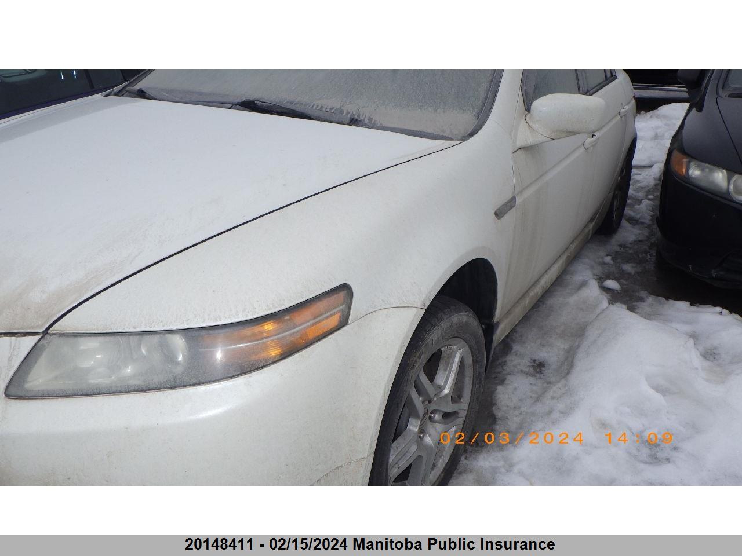 ACURA TL 2006 19uua662x6a800223