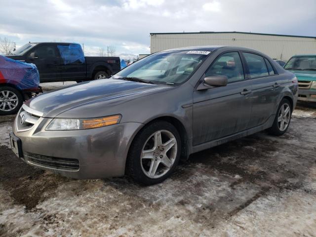 ACURA TL 2006 19uua662x6a802411