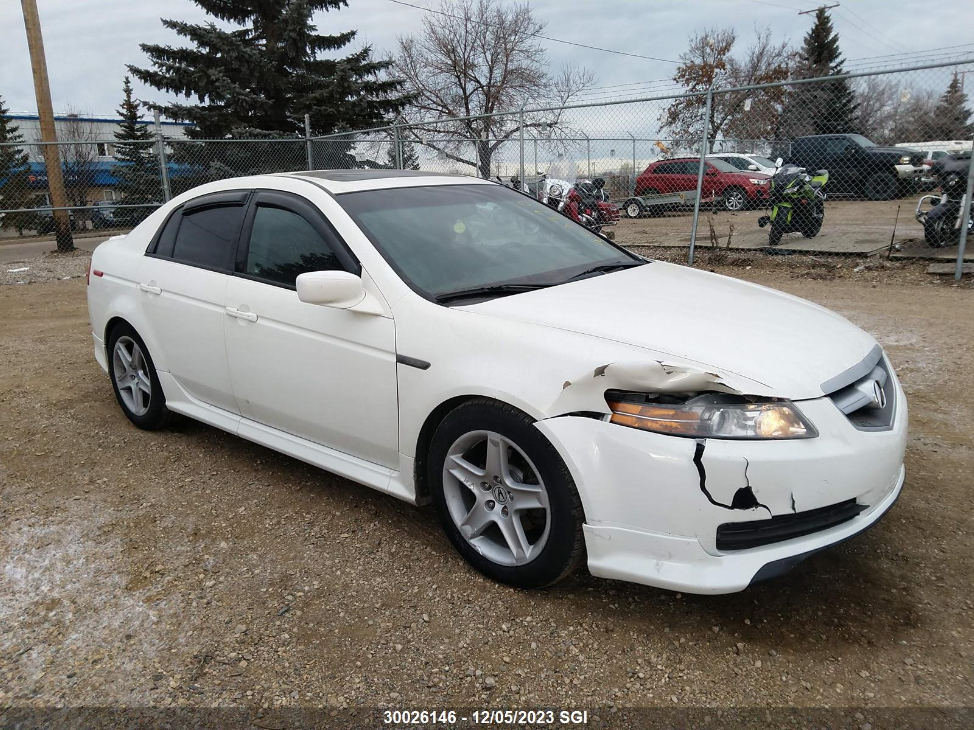 ACURA TL 2006 19uua662x6a803770