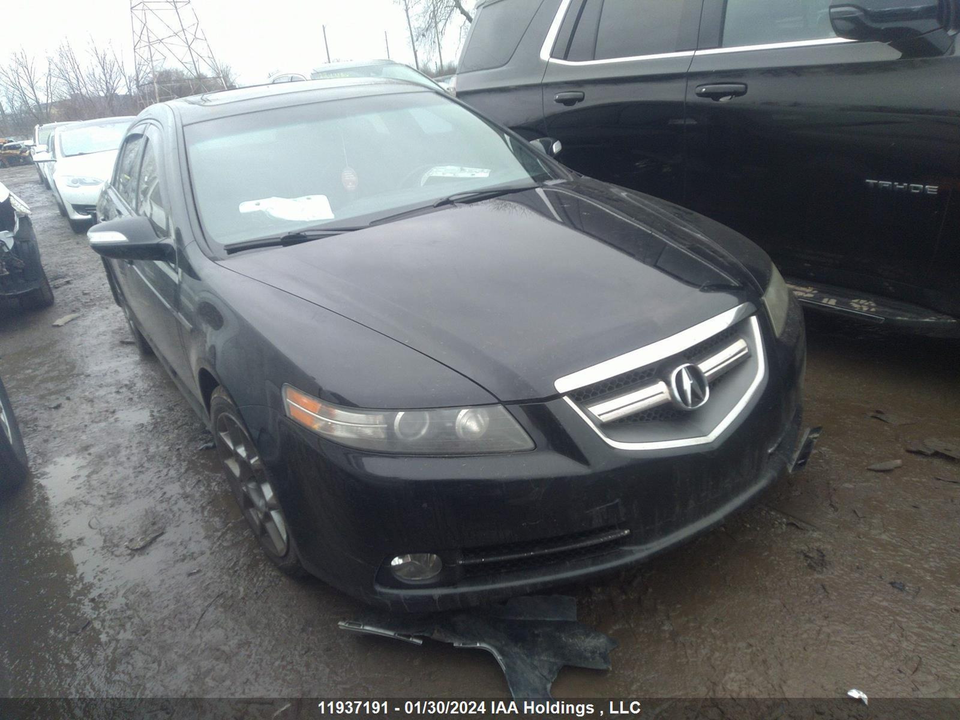 ACURA TL 2008 19uua75588a802315