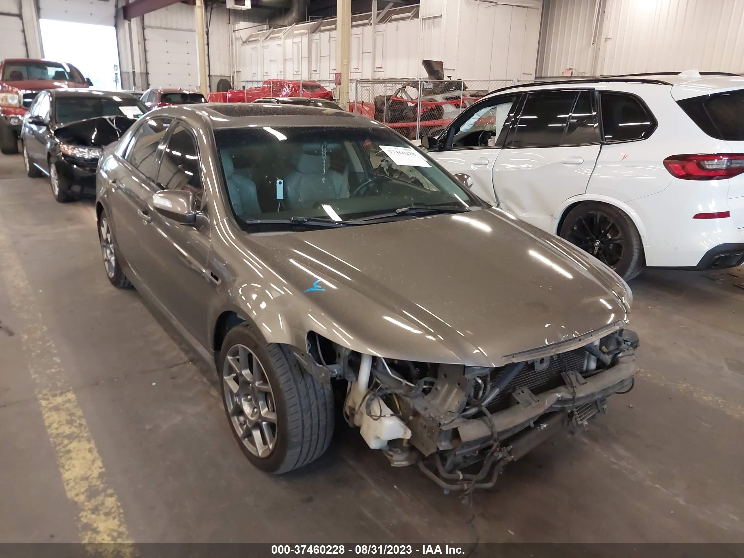 ACURA TL 2008 19uua76508a037521