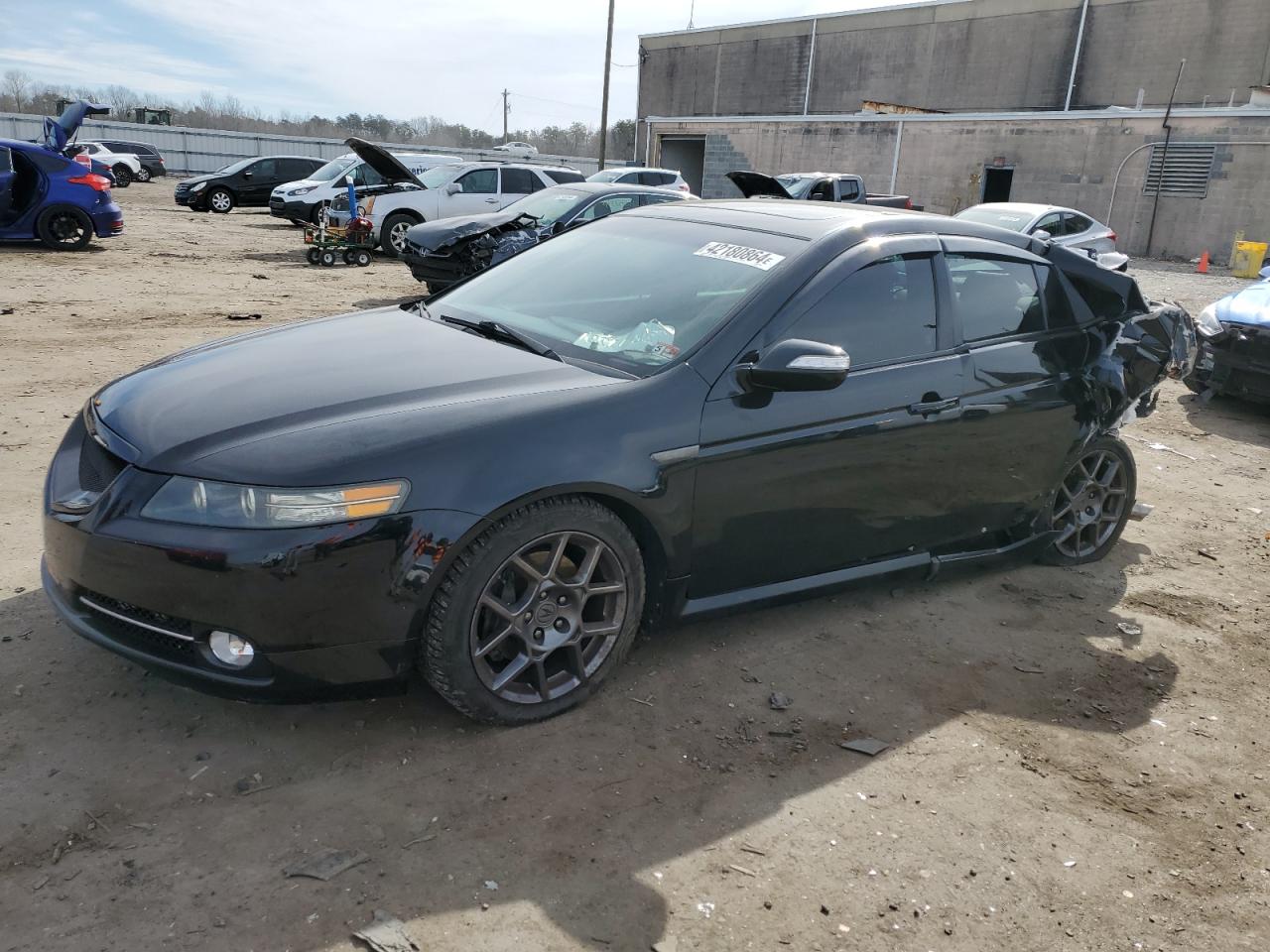 ACURA TL 2008 19uua76508a055579