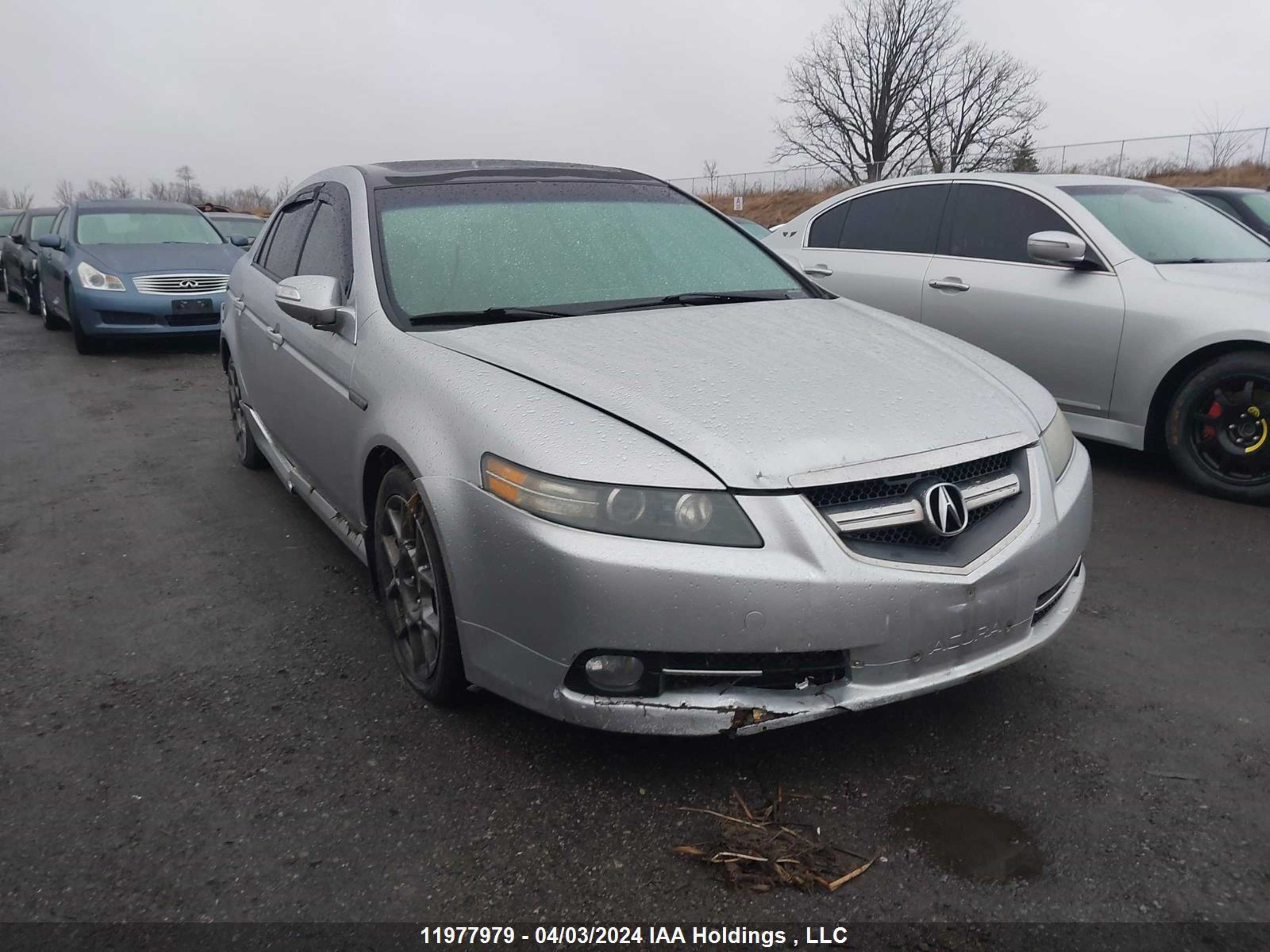 ACURA TL 2008 19uua76558a801198