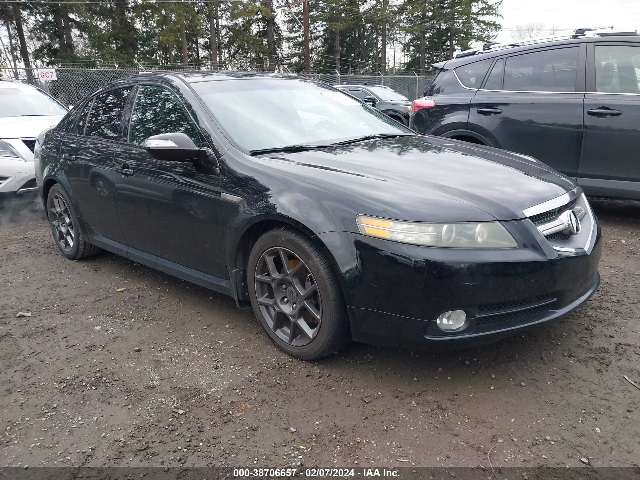 ACURA TL 2008 19uua76578a804166