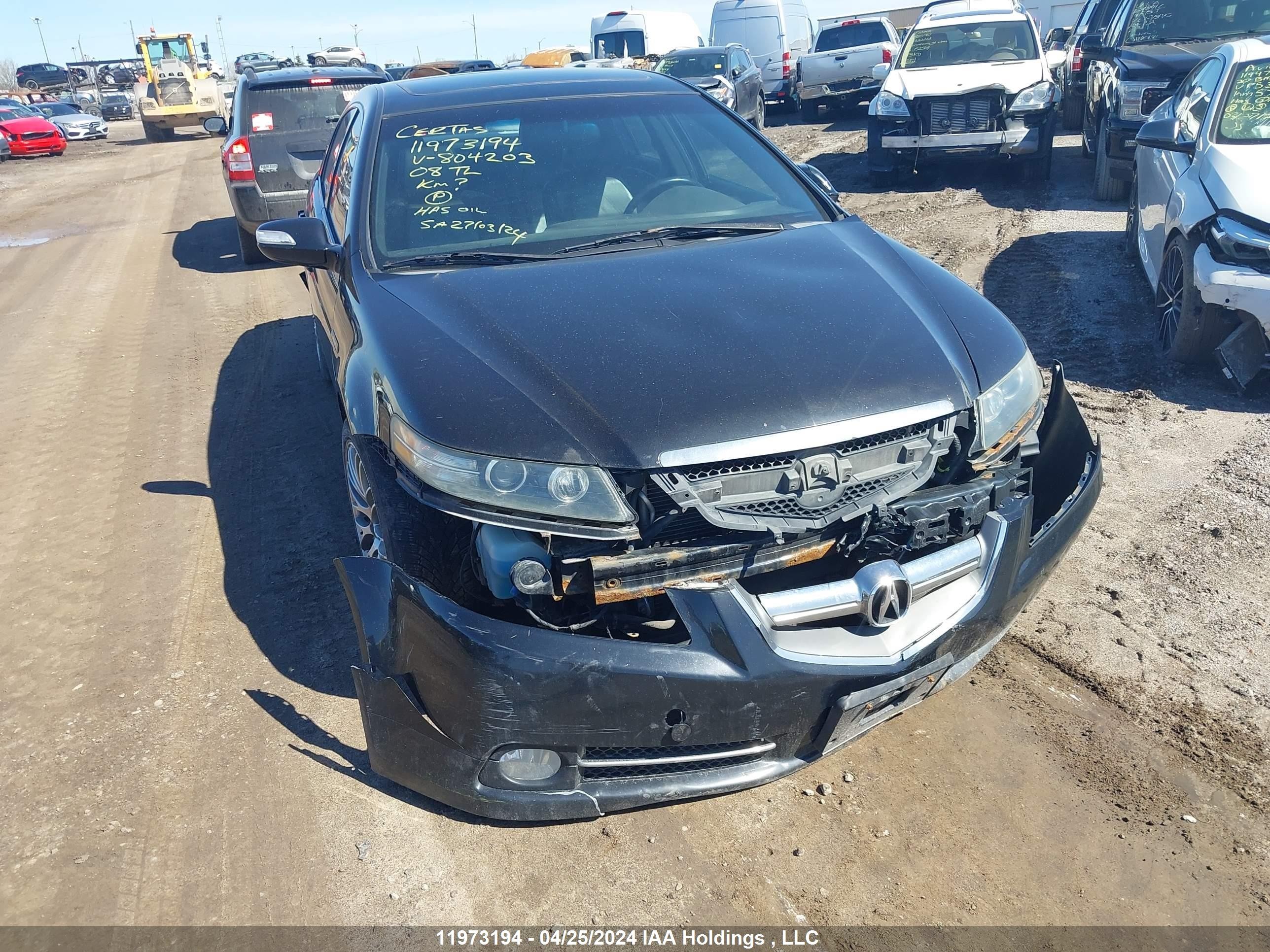 ACURA TL 2008 19uua76598a804203