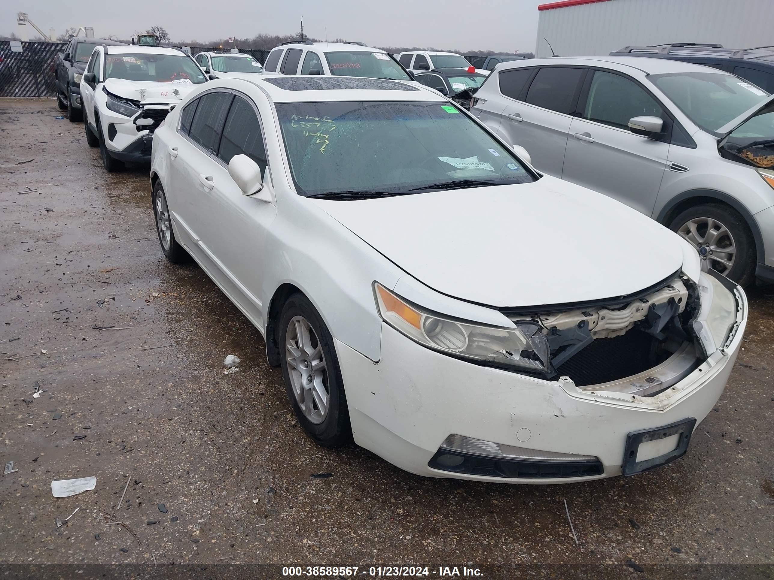 ACURA TL 2009 19uua86219a016500