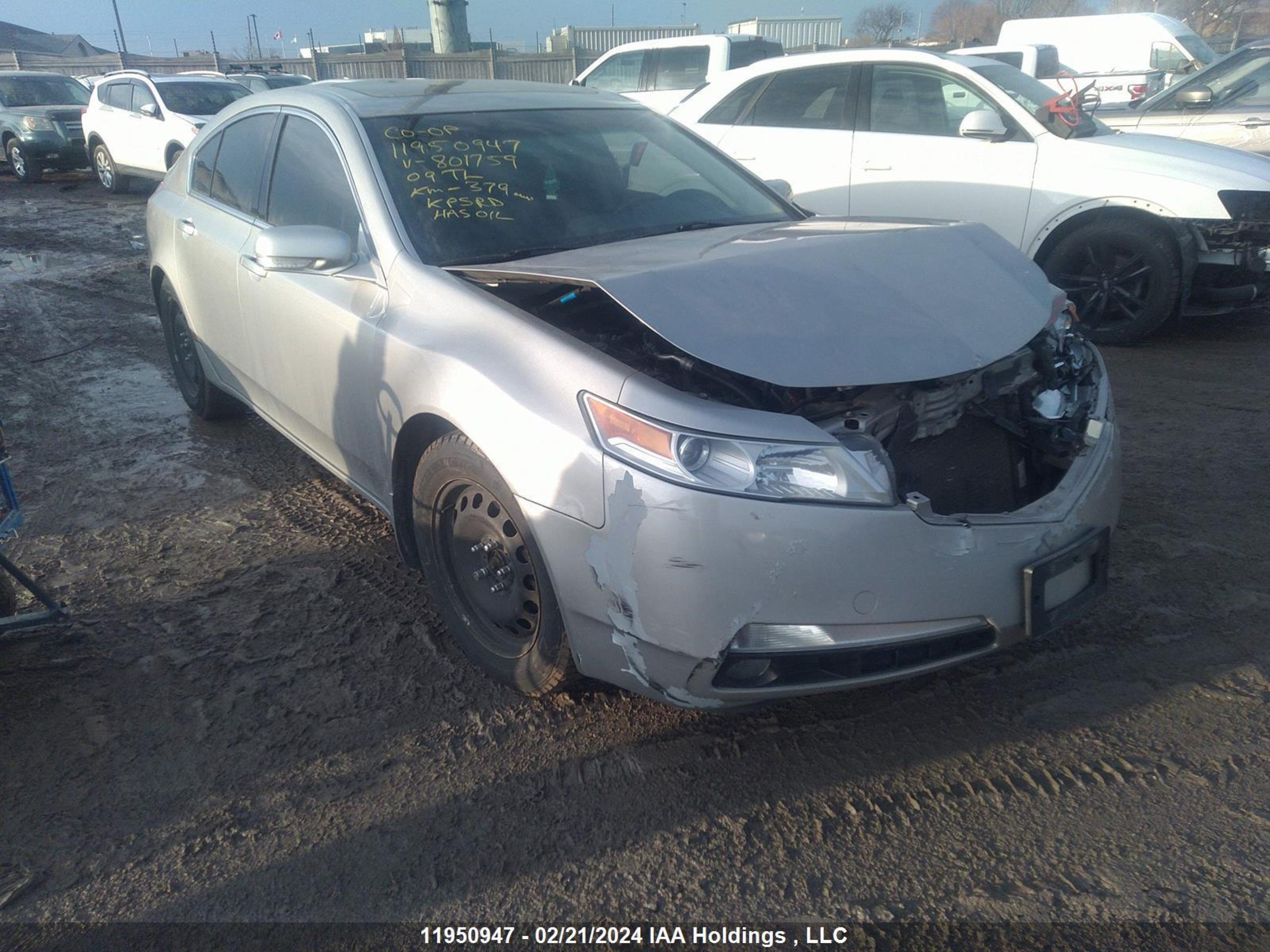 ACURA TL 2009 19uua86219a801759