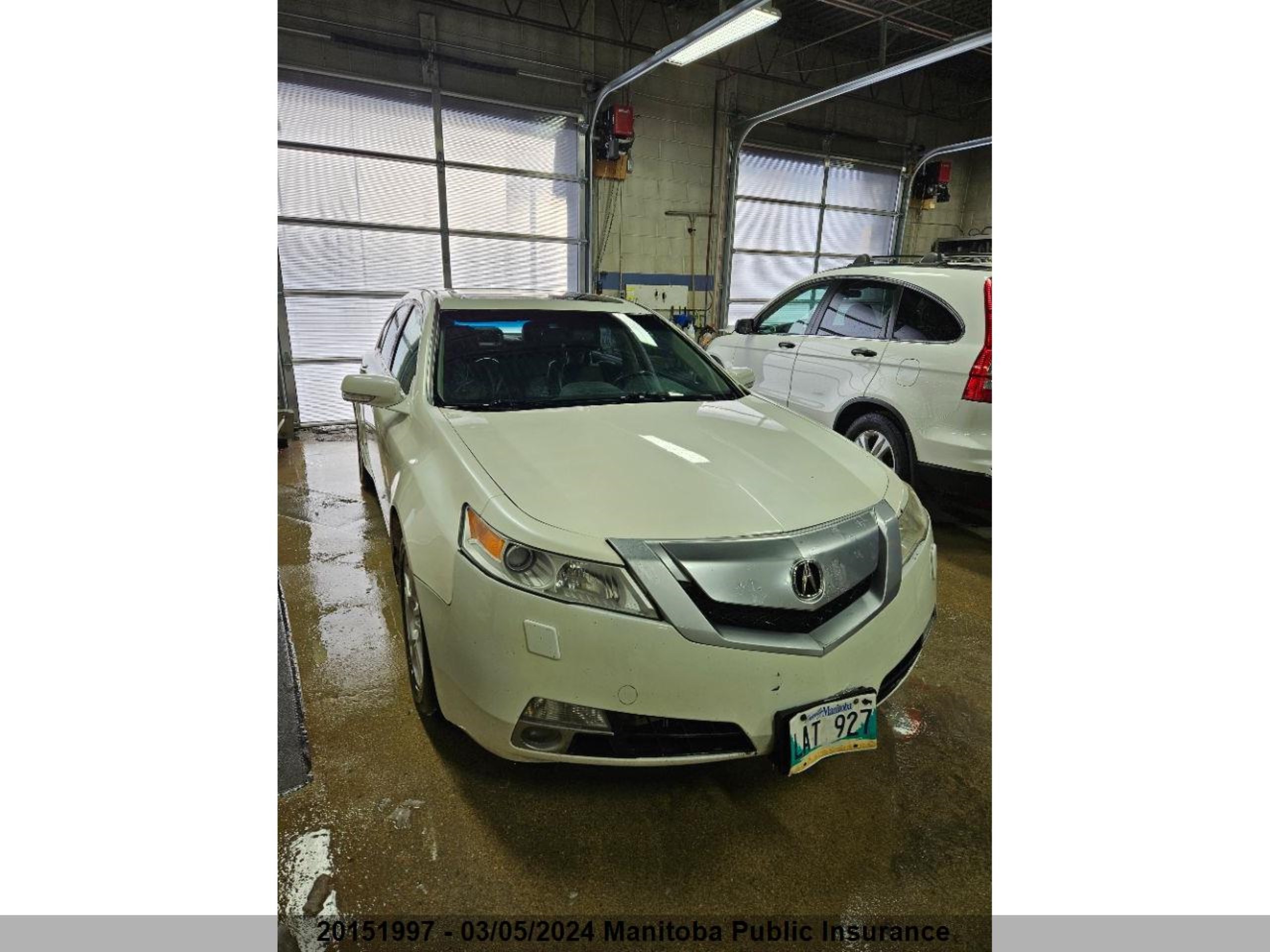 ACURA TL 2009 19uua86539a800414