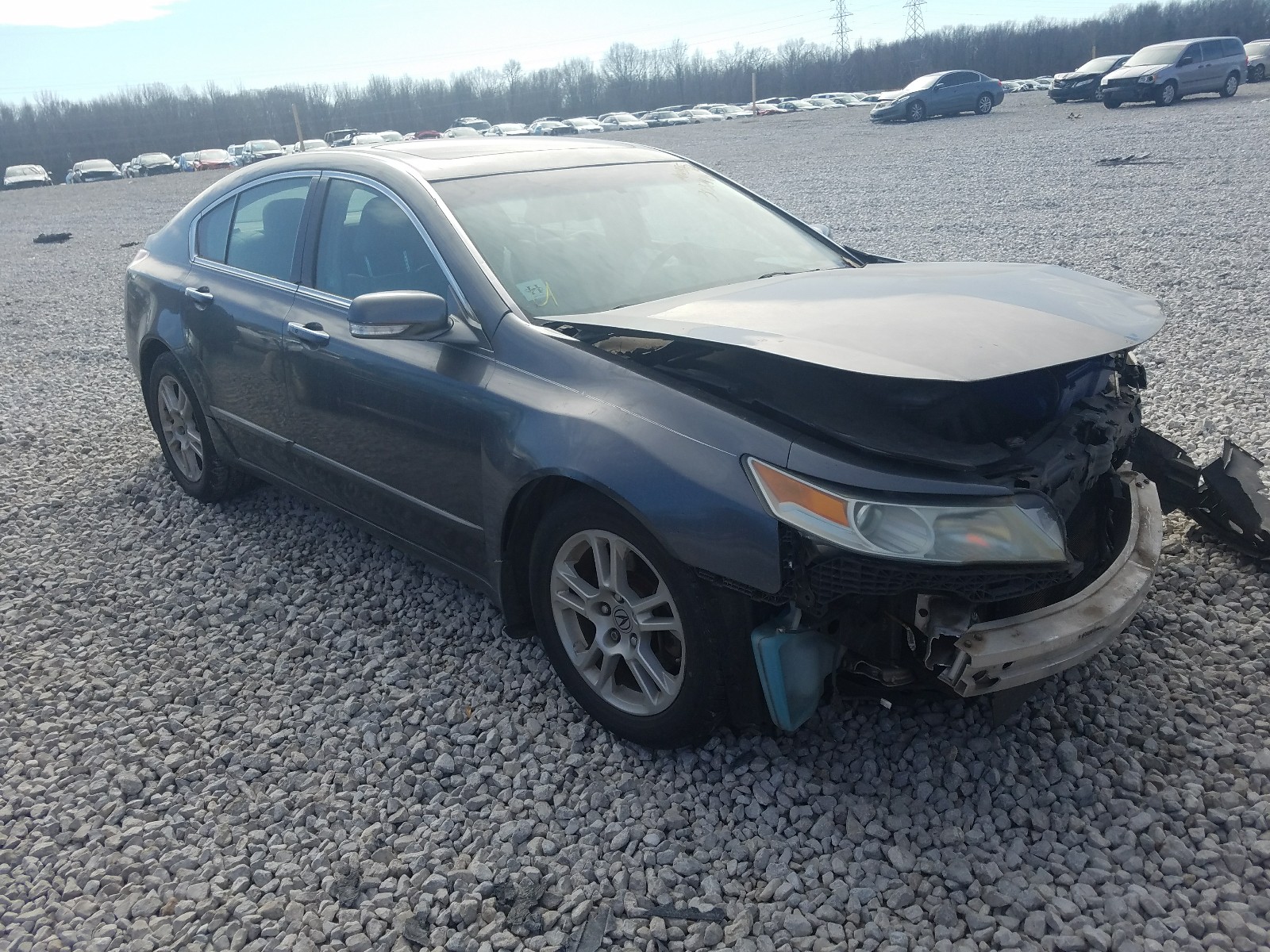 ACURA TL 2009 19uua86549a011060