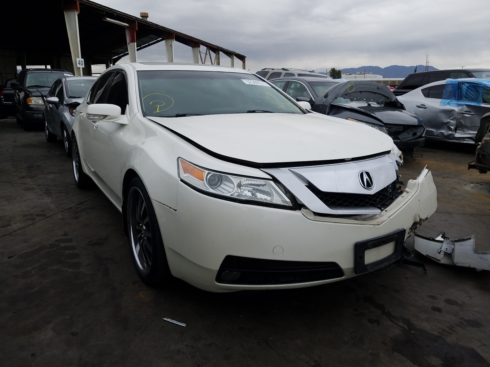 ACURA TL 2009 19uua865x9a020166