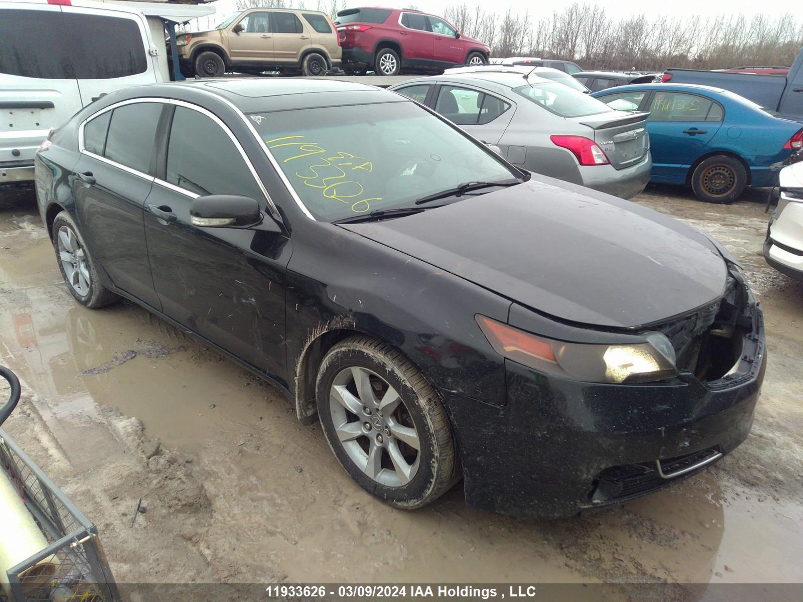 ACURA TL 2012 19uua8f21ca800862