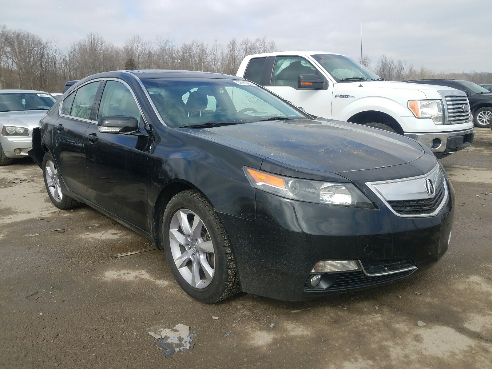 ACURA TL 2013 19uua8f22da016448