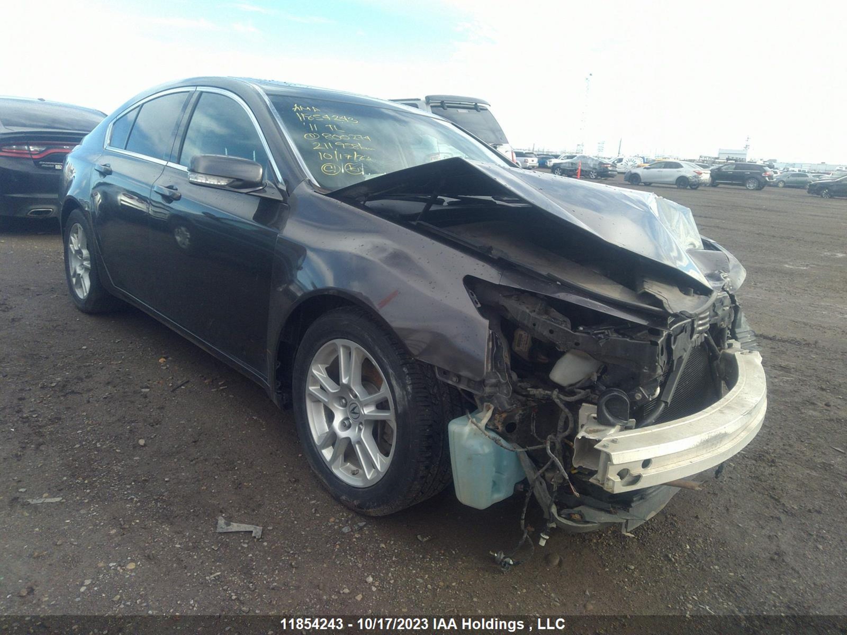 ACURA TL 2011 19uua8f28ba800274