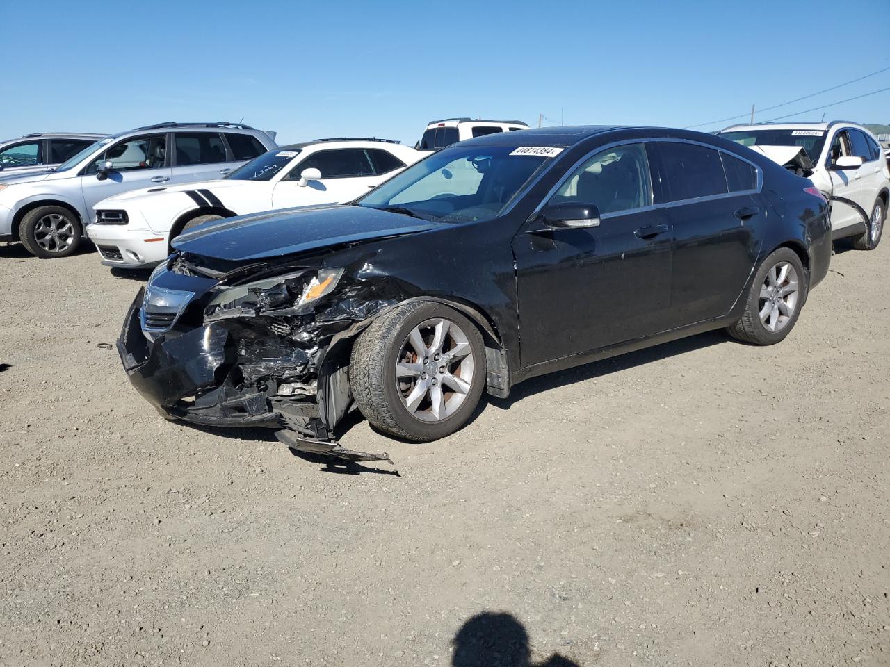 ACURA TL 2012 19uua8f29ca004537