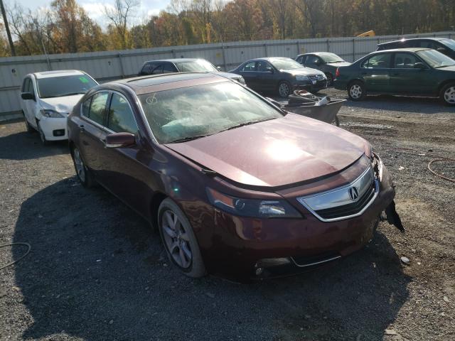 ACURA TL TECH 2013 19uua8f50da013798