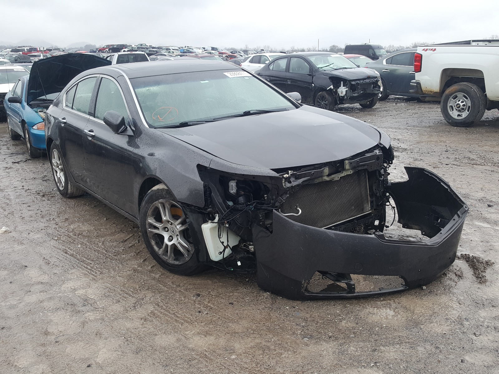 ACURA TL 2011 19uua8f51ba004069