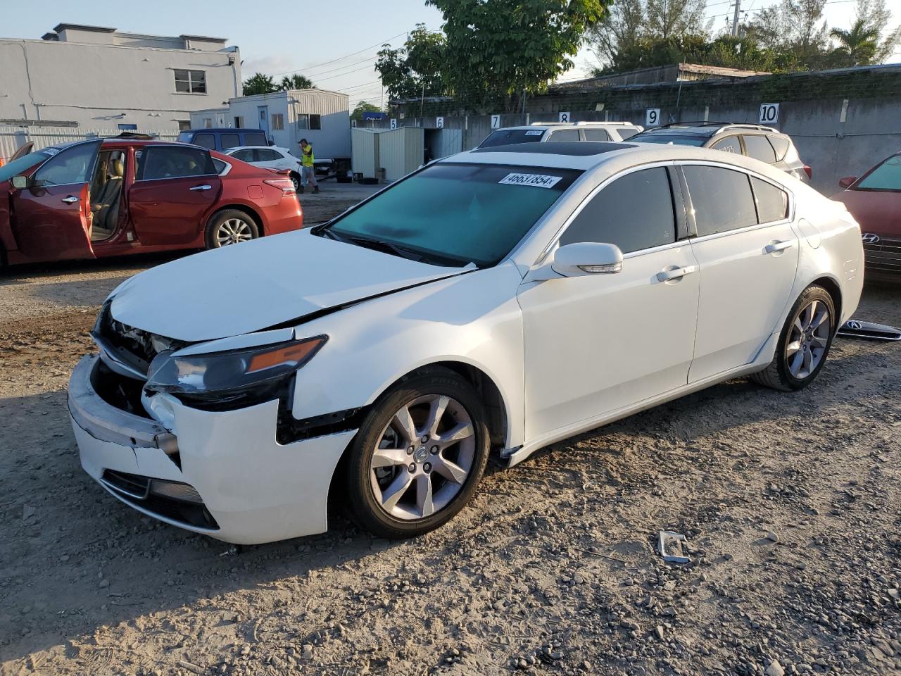 ACURA TL 2013 19uua8f51da003779