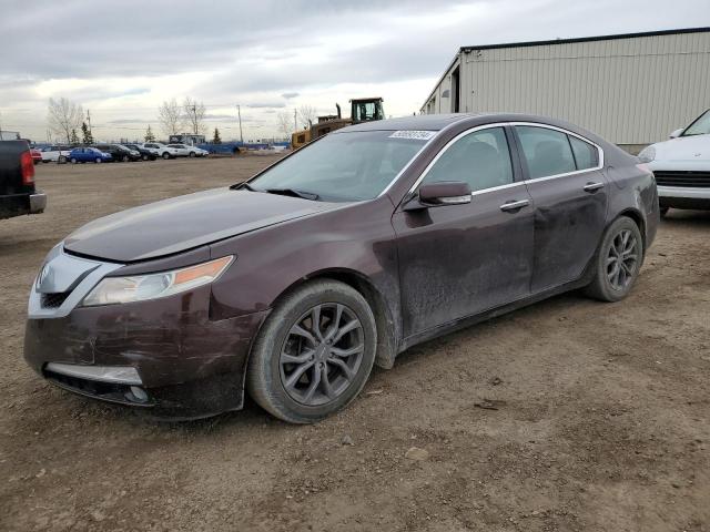 ACURA TL 2010 19uua8f52aa800652