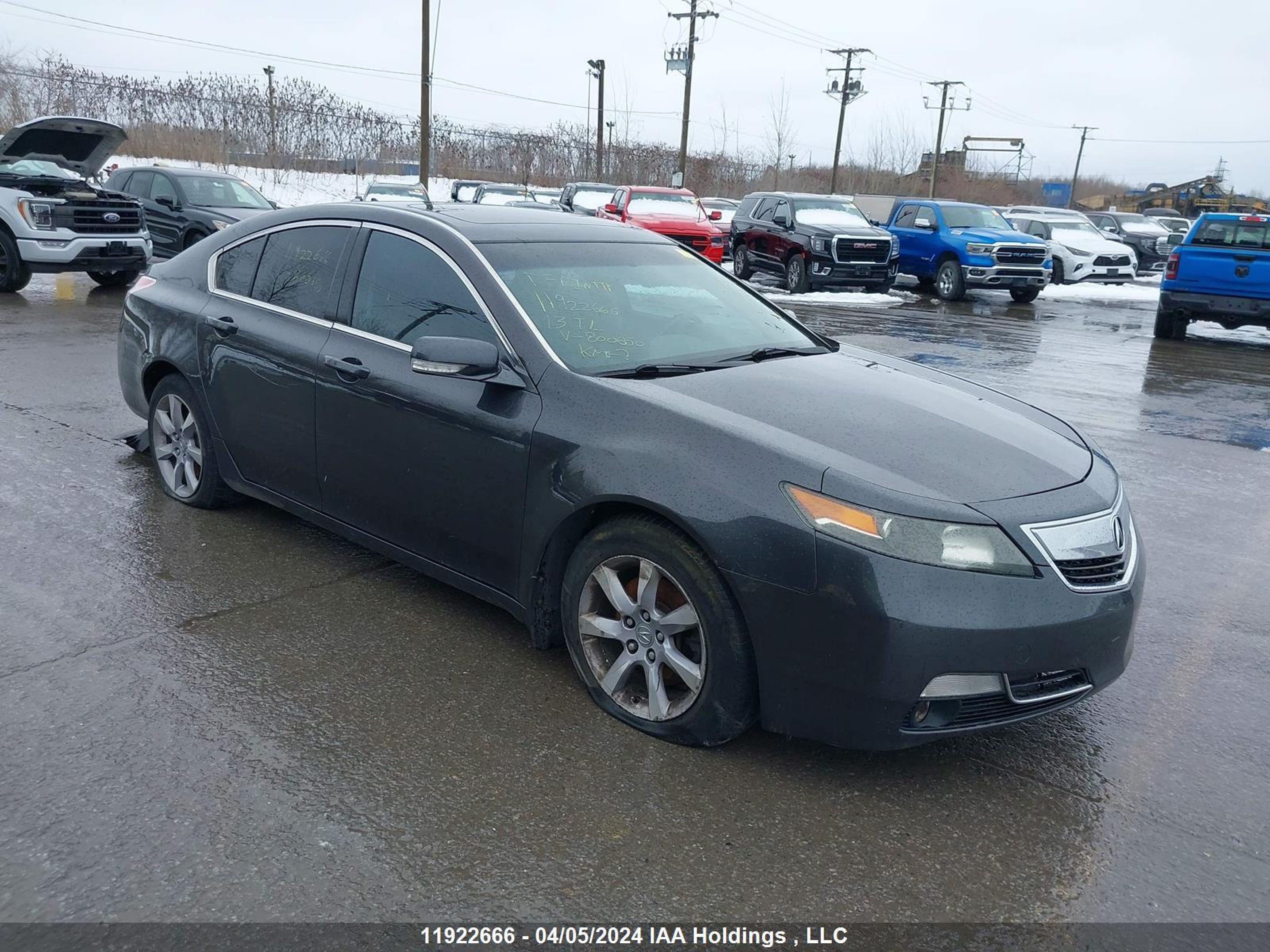 ACURA TL 2013 19uua8f53da800650