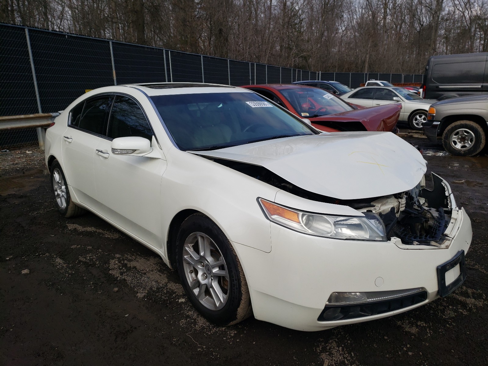 ACURA TL 2010 19uua8f55aa003666