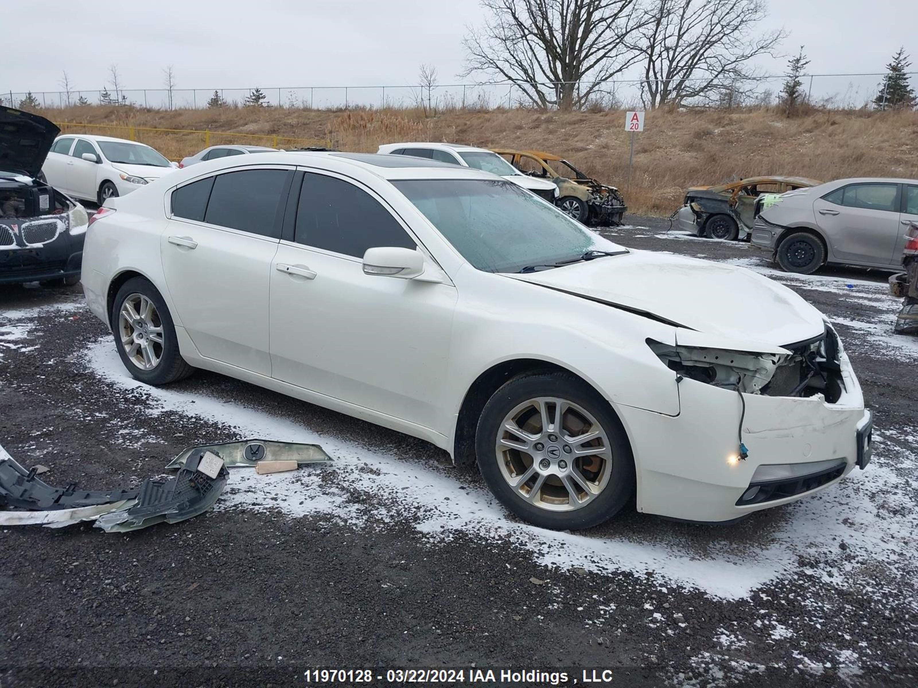 ACURA TL 2011 19uua8f55ba800338