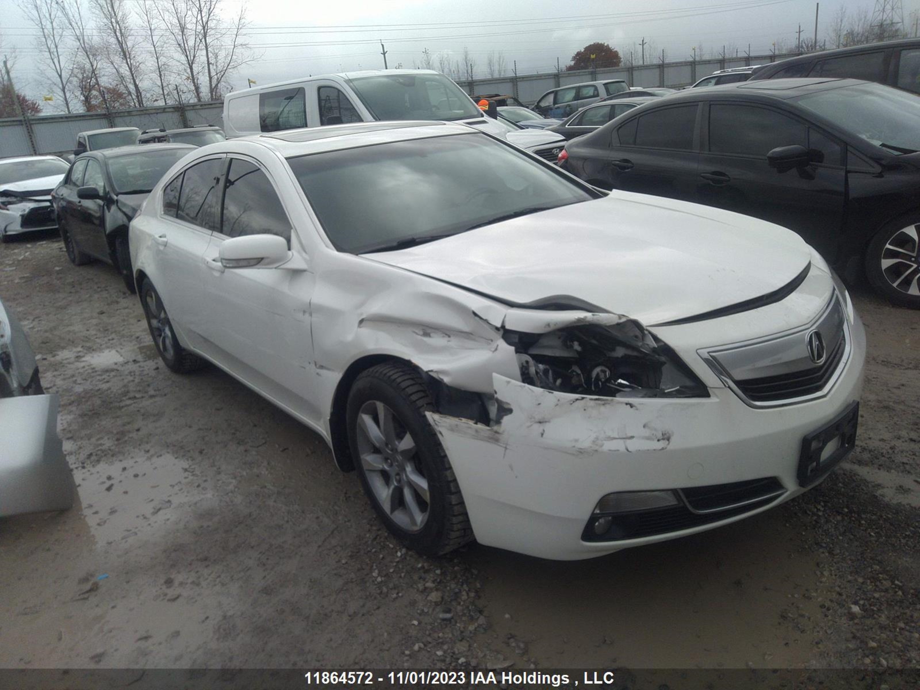 ACURA TL 2012 19uua8f56ca800916