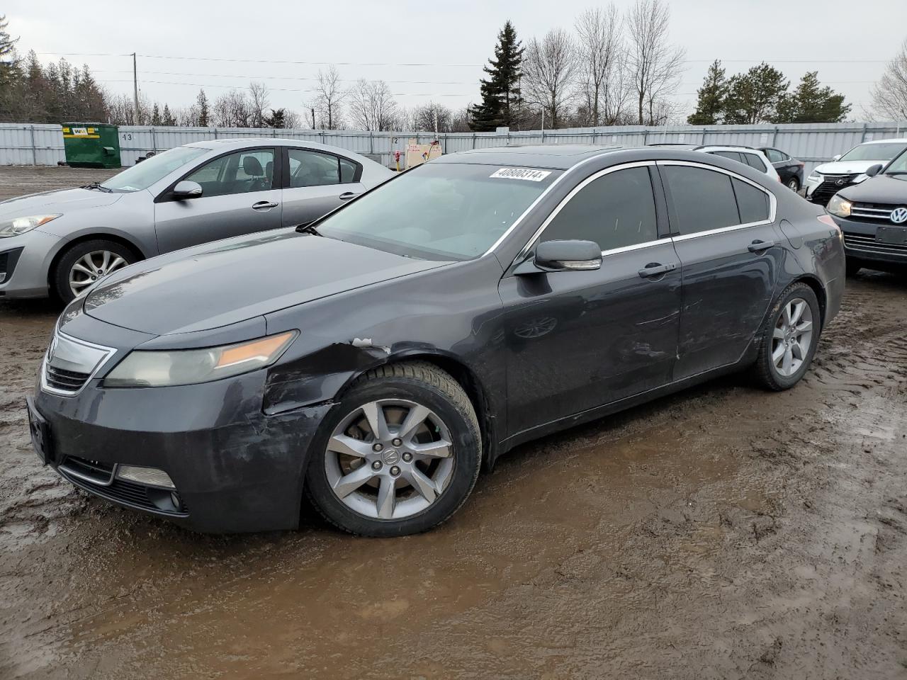 ACURA TL 2012 19uua8f58ca800108