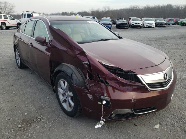 ACURA TL TECH 2013 19uua8f59da012648