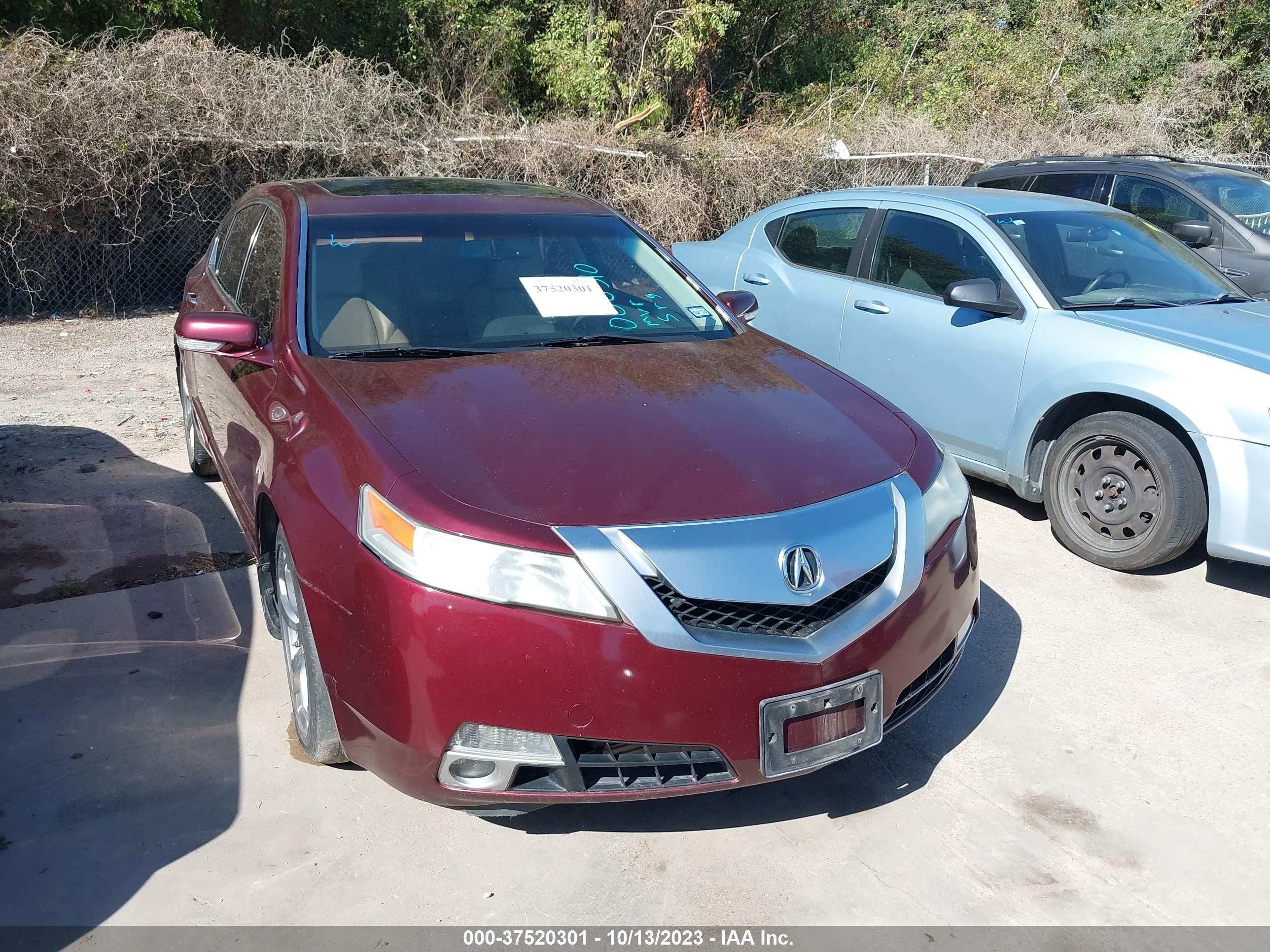 ACURA TL 2009 19uua96519a006310