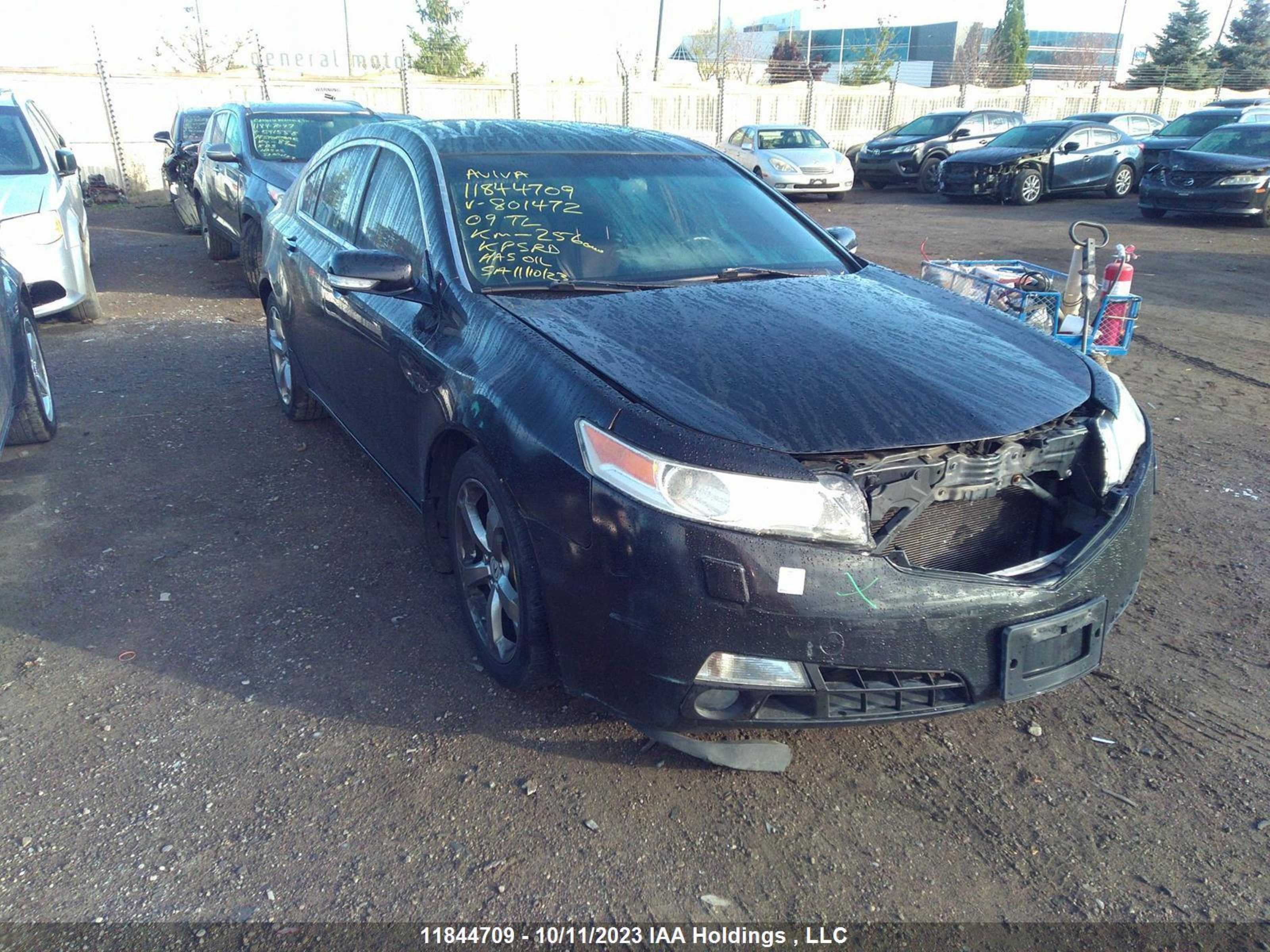 ACURA TL 2009 19uua96539a801472