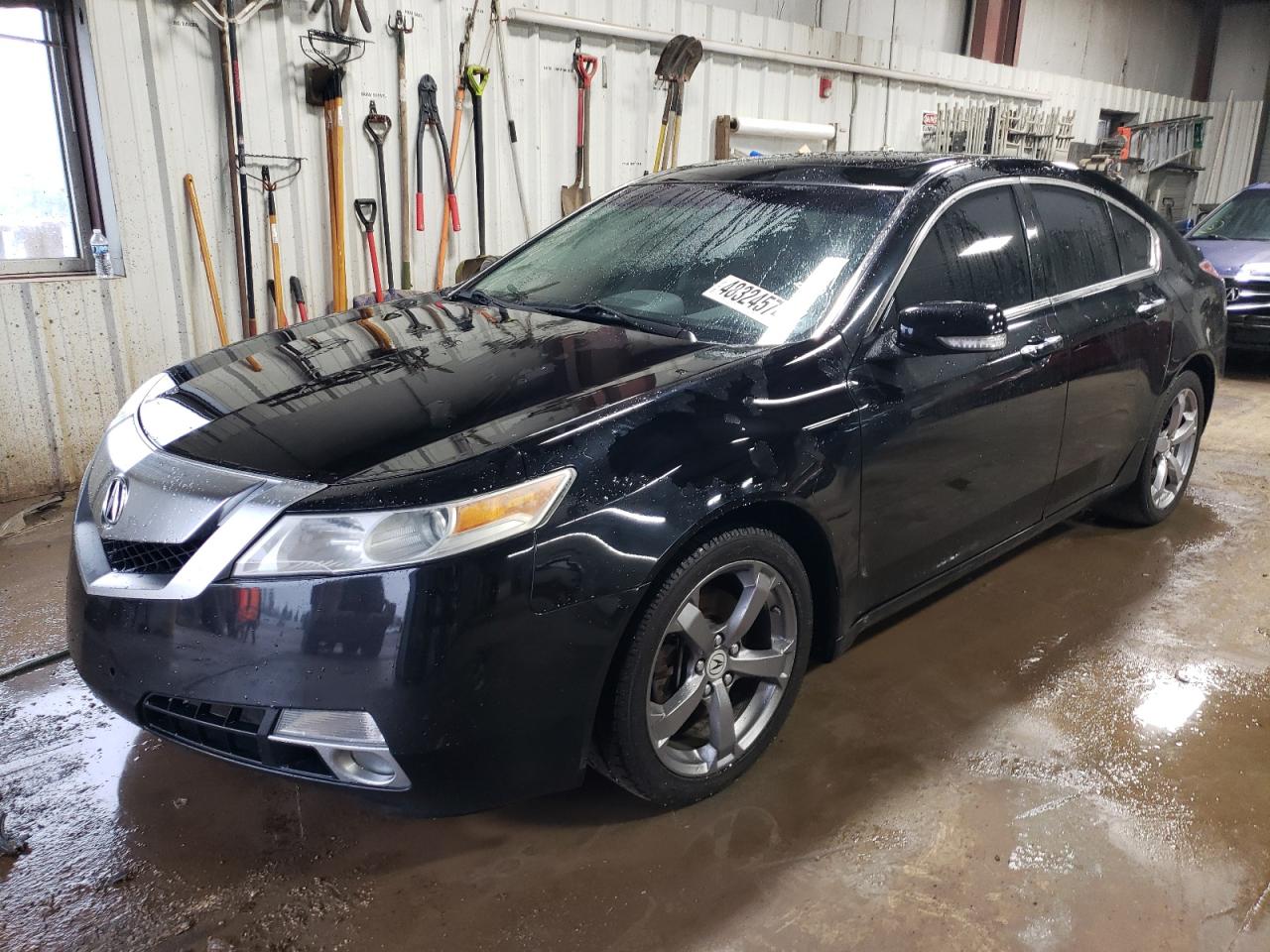 ACURA TL 2009 19uua96549a005779