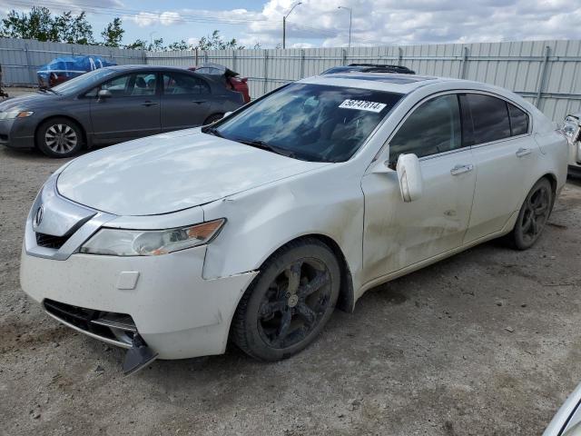 ACURA TL 2009 19uua96559a801604