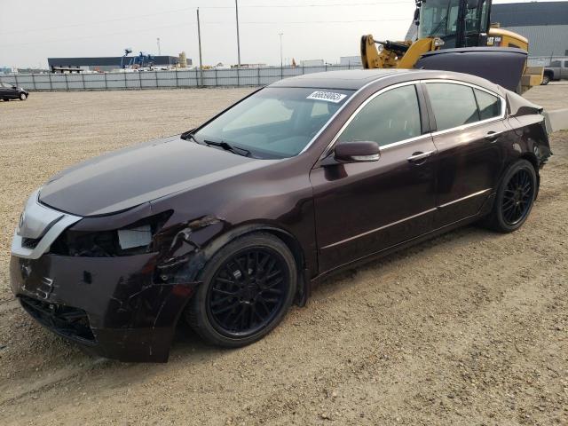 ACURA TL 2009 19uua96569a801384