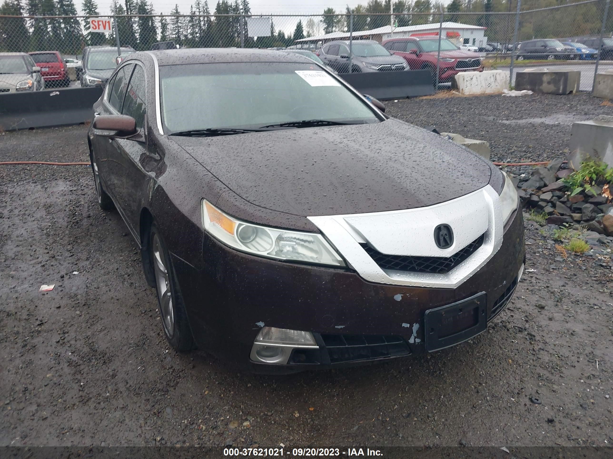 ACURA TL 2009 19uua96579a002830