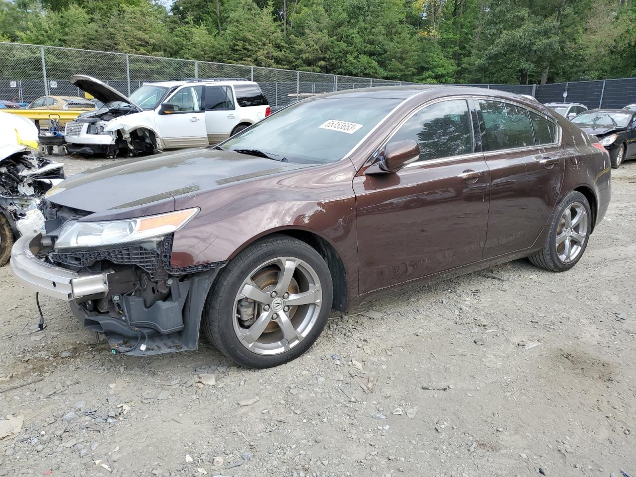 ACURA TL 2009 19uua96579a005582