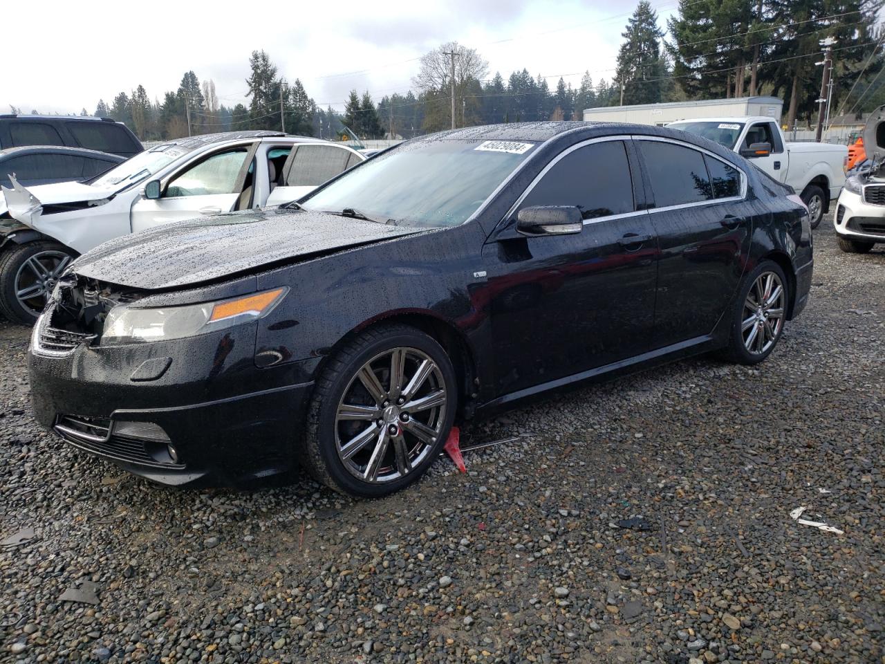 ACURA TL 2014 19uua9f30ea800031