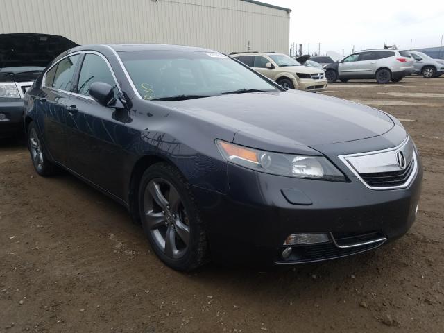 ACURA TL TECH 2013 19uua9f54da801036